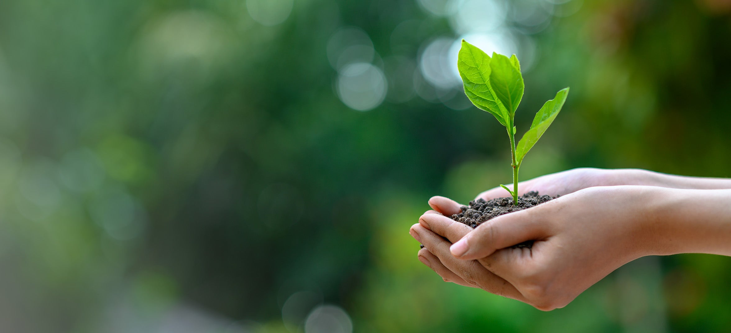 environmentally_banner